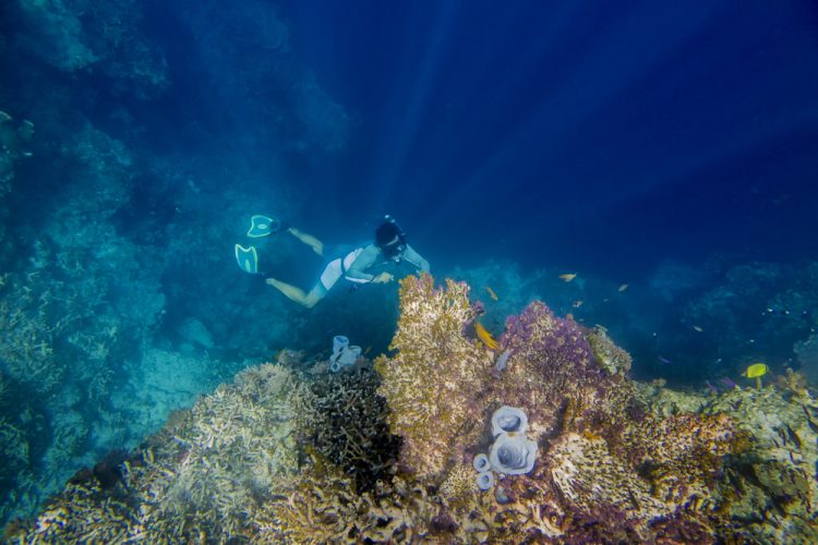 Free dive at Derawan, Borneo, Indonesia
