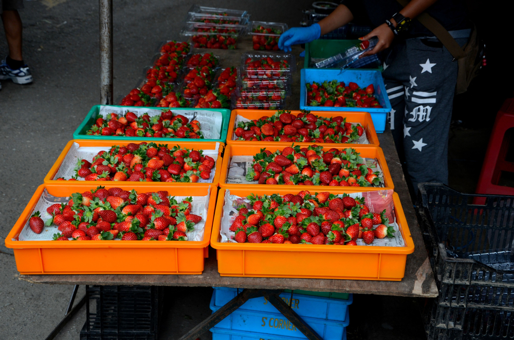 Fresh strawberries at a street market bazaar, Cameron Highlands, Malaysia.