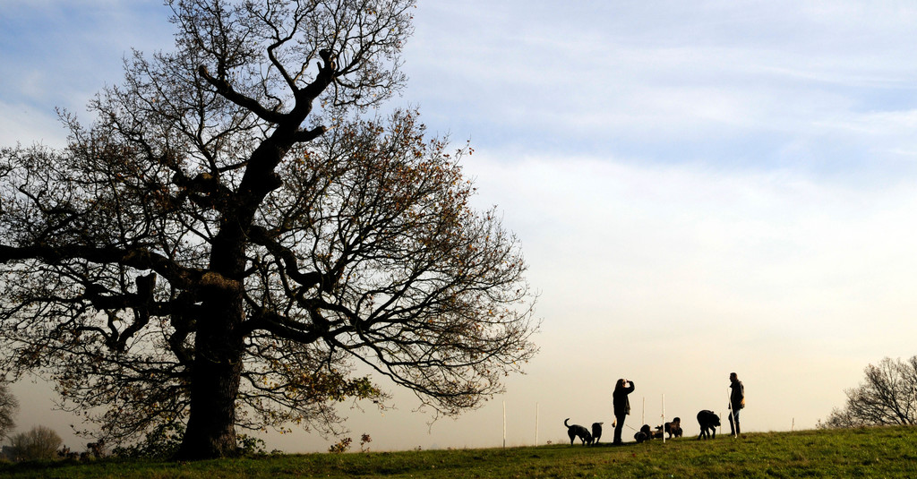 The Best Hikes for a Day Trip From London