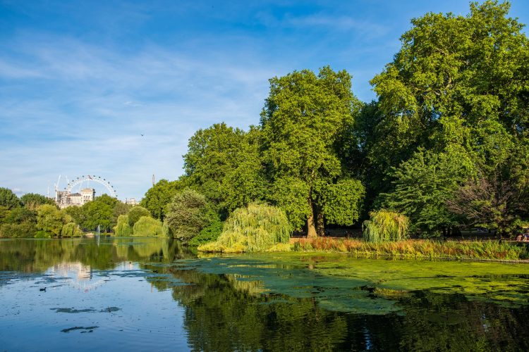 St James’s Park is one of London’s finest green spaces