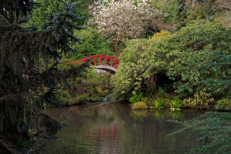 Kubota Garden was started by Japanese emigrant Fujitaro Kubota in 1927