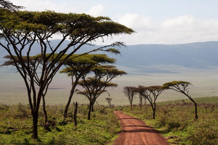 Road descending into Ngorongoro Crater, Tanzania