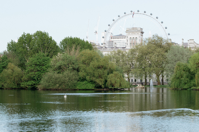 Westminster-London-England-Cauli