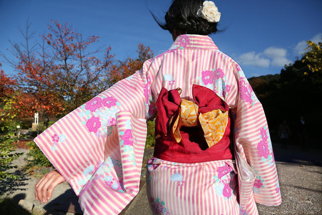 A Japanese woman with traditional kimono woman is walking in Maruyama Park in Kyoto