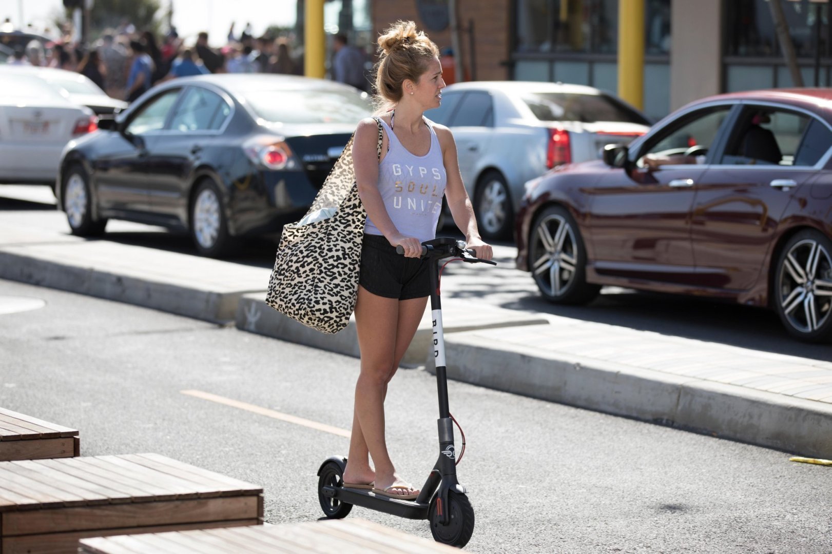 Bird Scooters in Santa Monica California