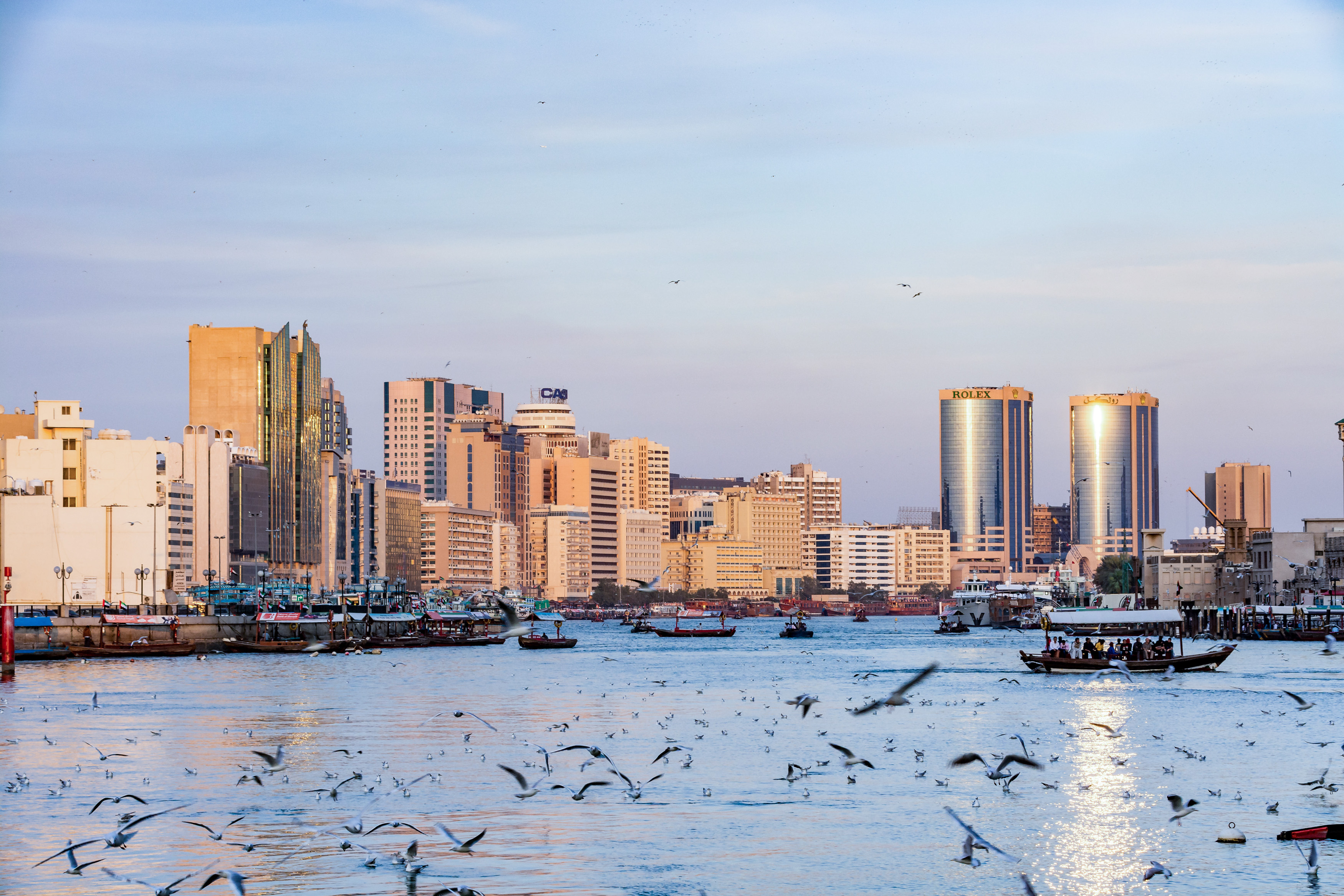 View of Dubai creek with lots of seagulls and abra boats at sunset, United Arab Emirates, UAE