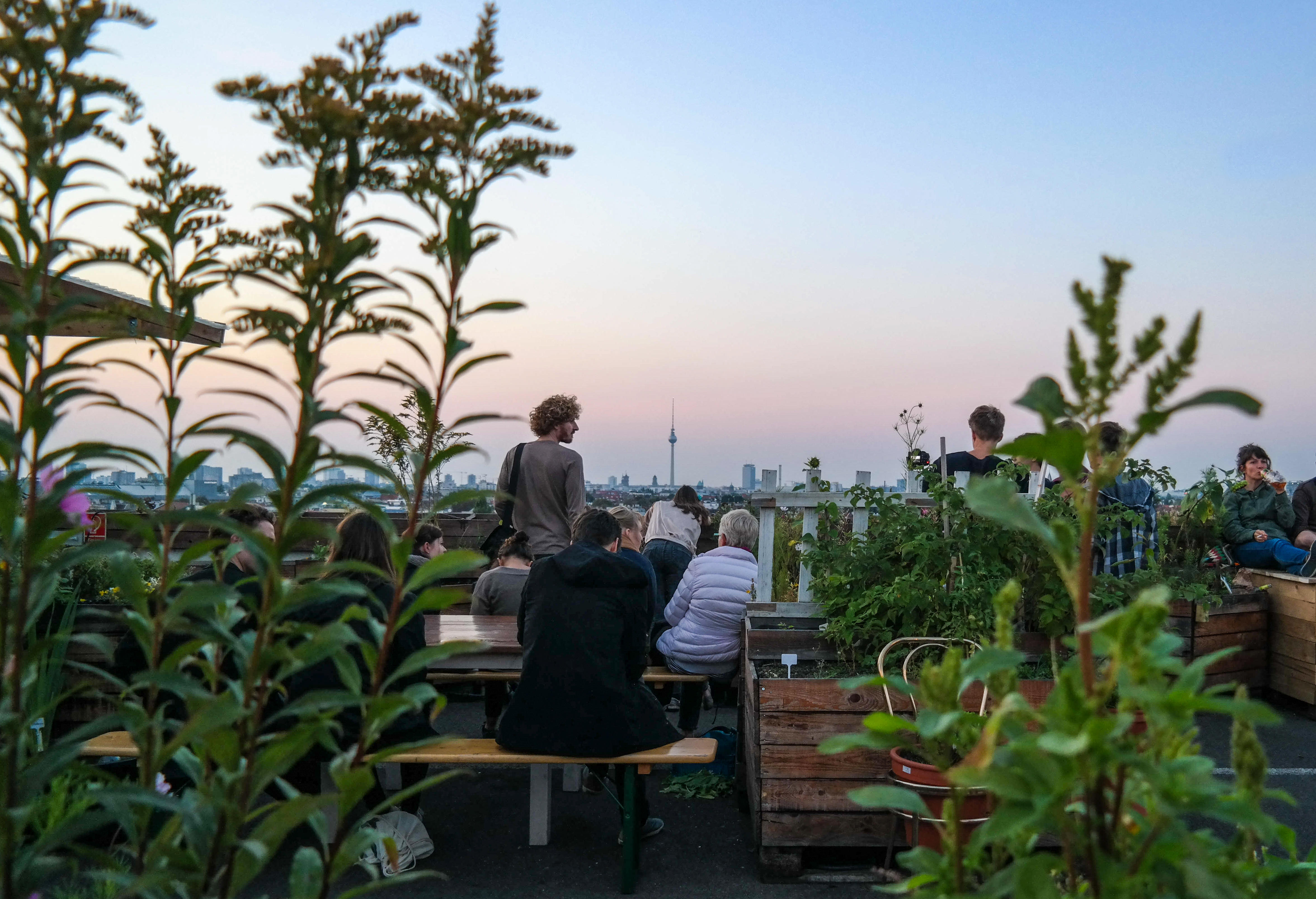 Berlin, Neukolln, Karl-Marx-Str., Klunkerkranich, Parkdeck, Abend, FB1