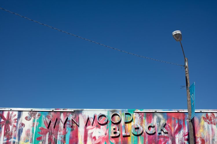 Art and Graffiti in Wynwood Walls Miami.