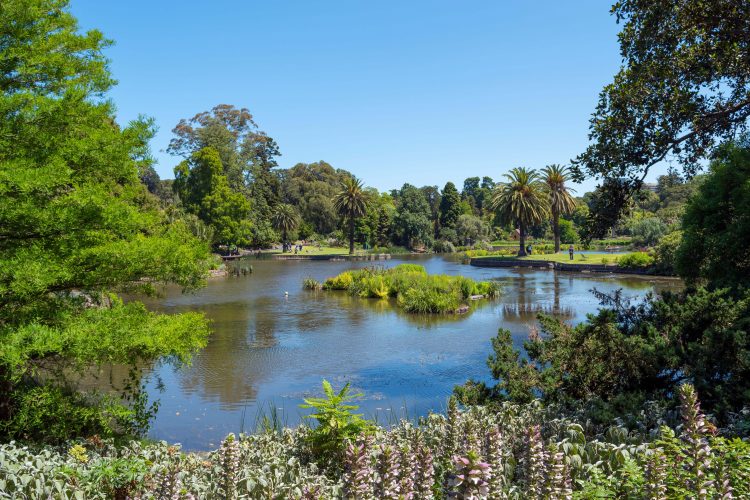 The Royal Botanic Gardens are home to many beautiful sights