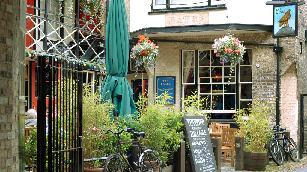 The Best Pubs in Cambridge An Insider’s Guide