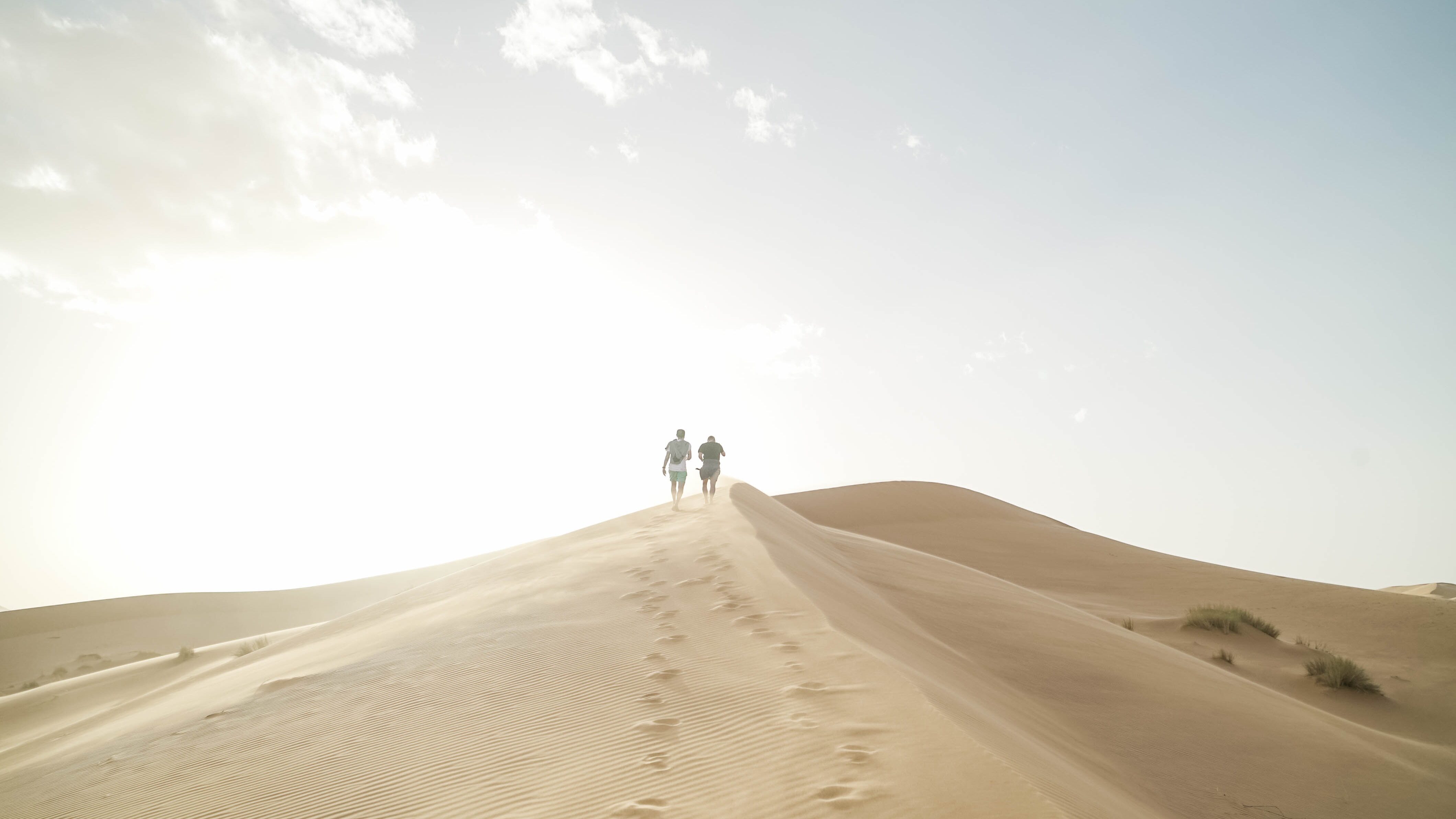 A Guide To North African Desert Blues In 10 Songs