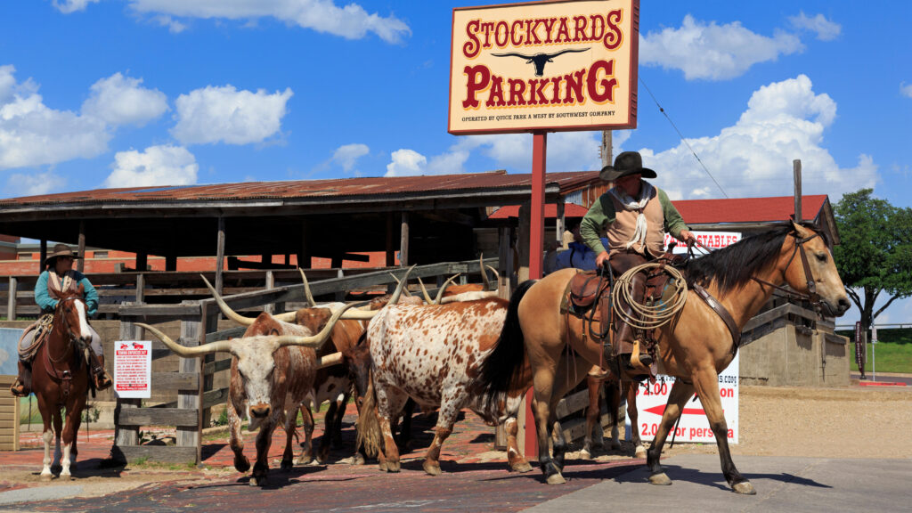 The Best Outdoor Activities in Fort Worth, Texas