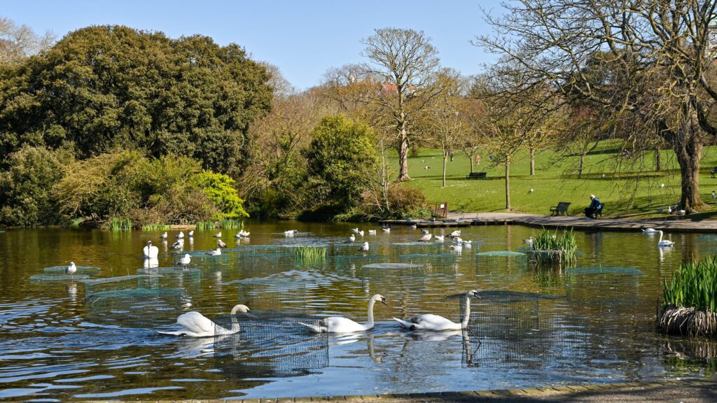 The Most Beautiful Parks in Brighton, UK