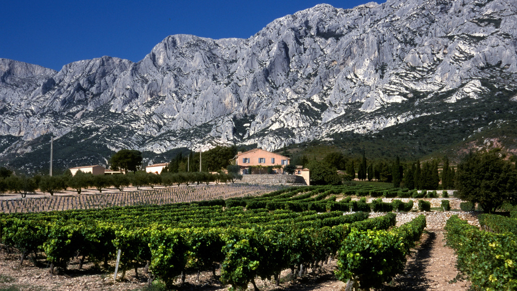 A Wine Lover’s Guide to Provence, France