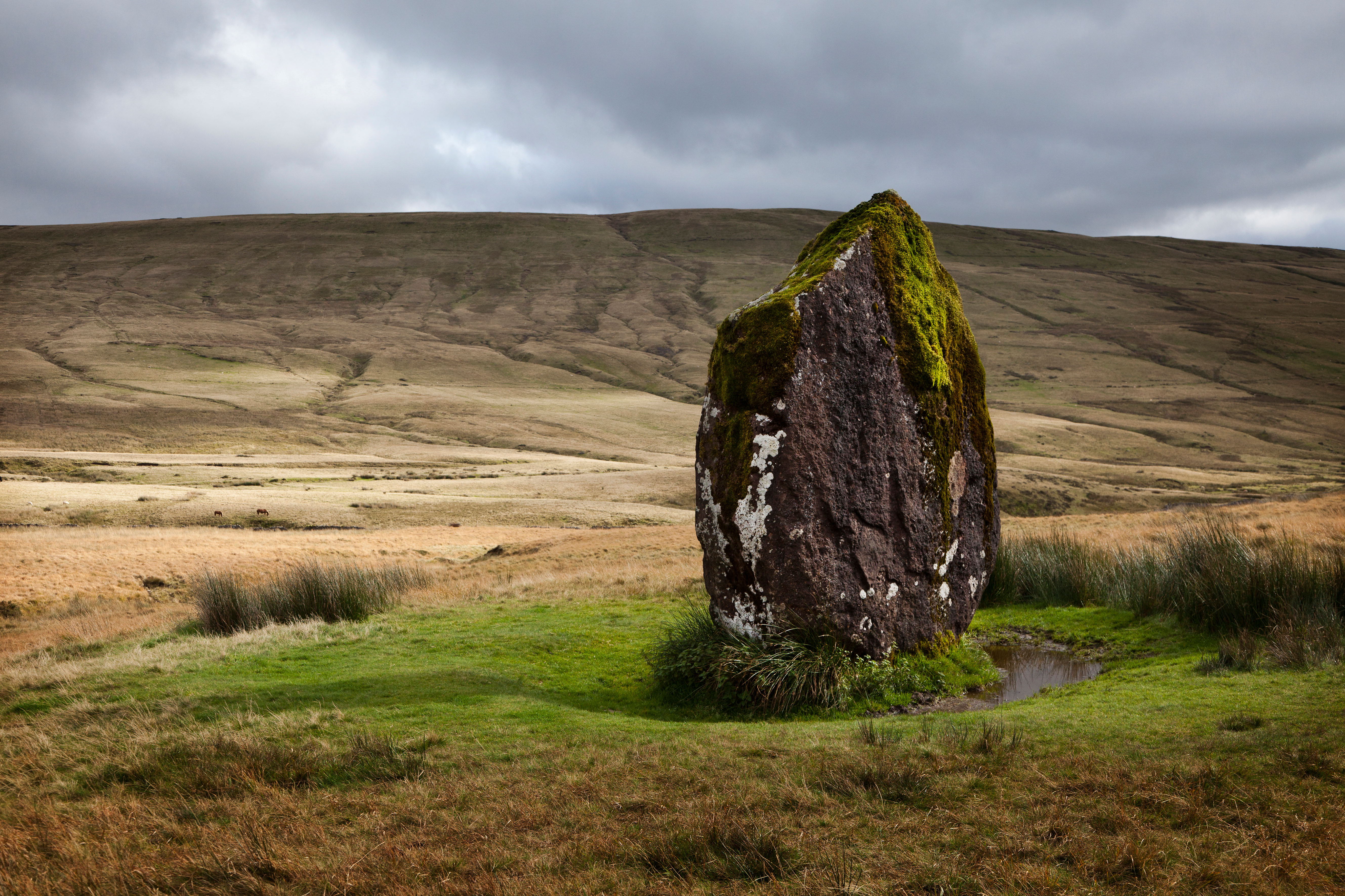 Maen Llia standing stone, Brecon Beacons National Park, Powys, Wales, UK