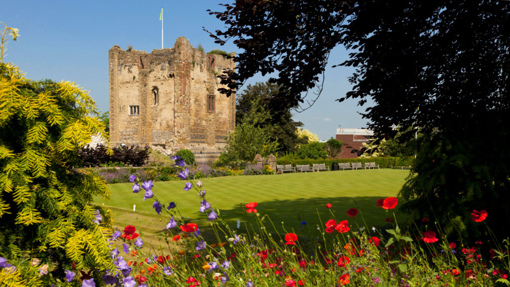 The Best Things to Do in Surrey