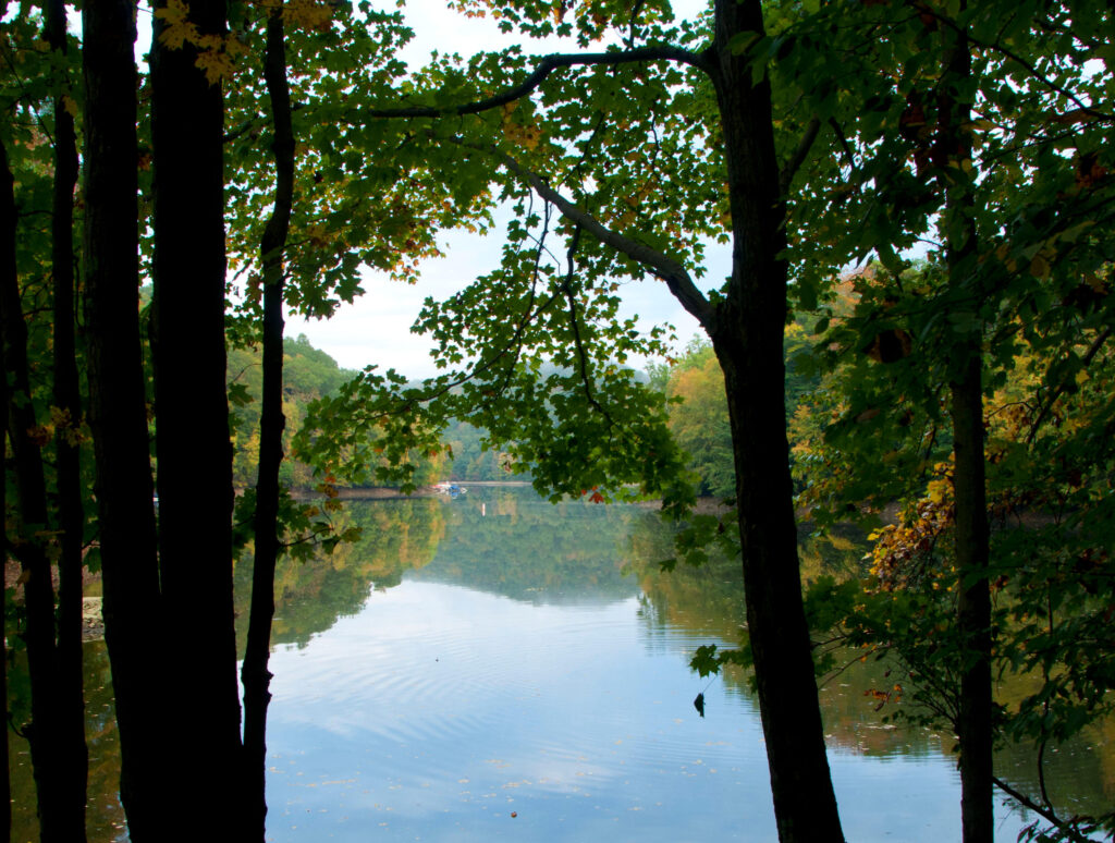 The Top Things to Do and See in Connecticut's Fairfield County