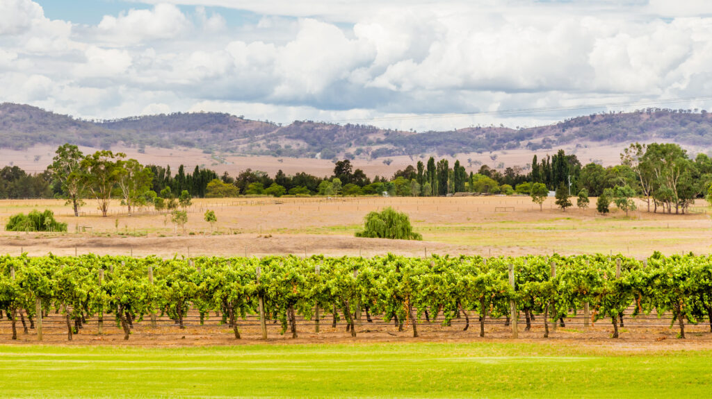 The Best Wineries in Hunter Valley