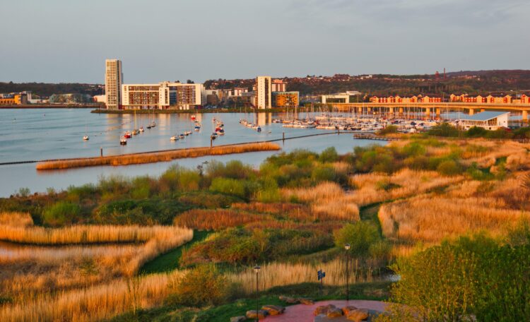 Cardiff Bay Wetlands Reserve, Cardiff Bay, Cardiff, Wales, United Kingdom