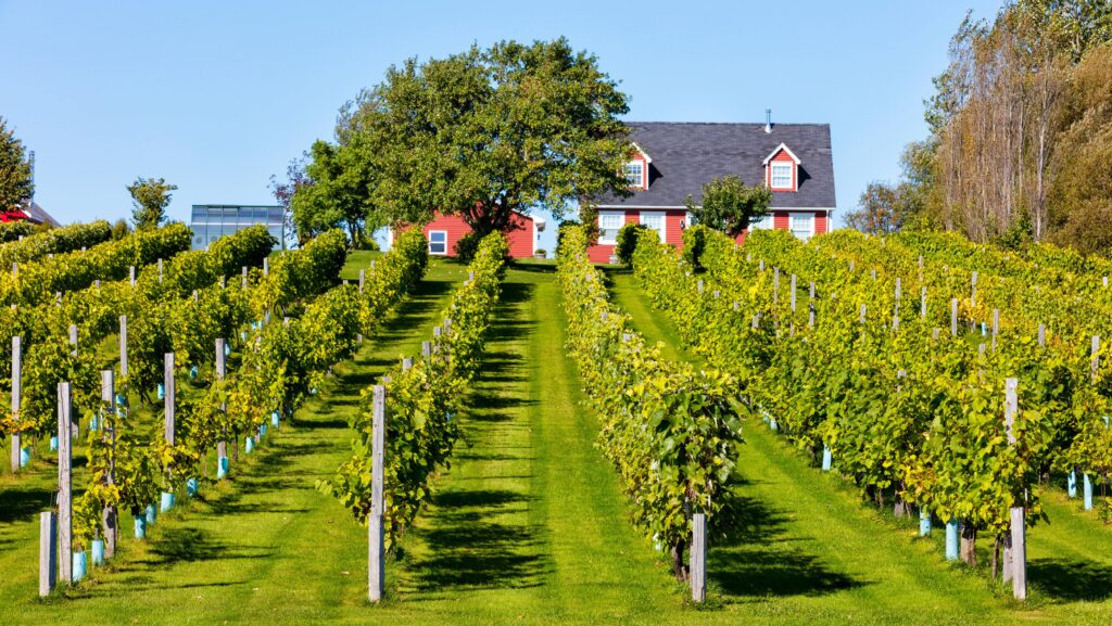 The Best Wineries and Distilleries on Prince Edward Island