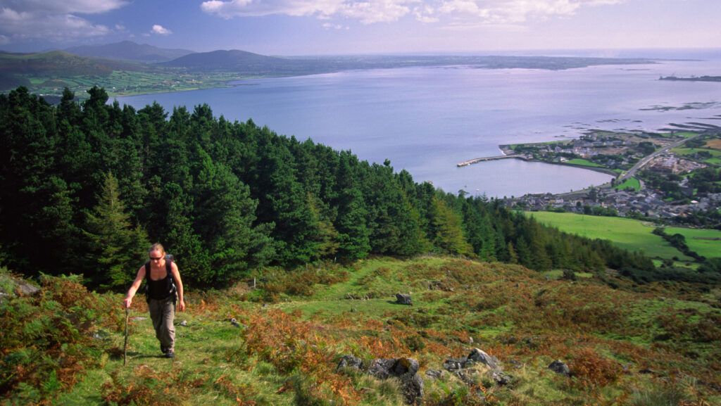 10 Best Things to See and Do in Carlingford, Ireland
