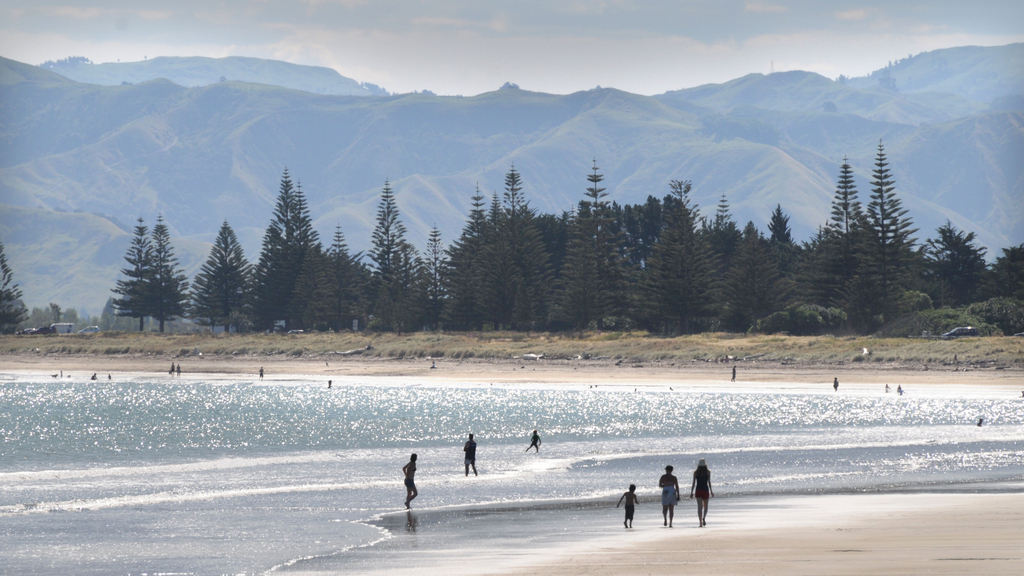 The 10 Best Things to Do in Gisborne, New Zealand