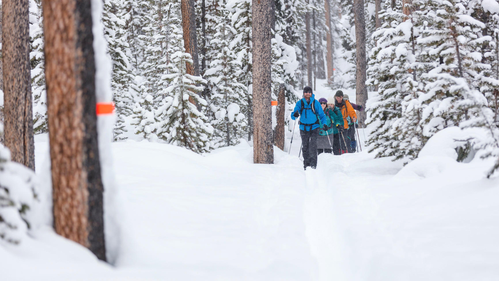 The Most Beautiful Places to CrossCountry Ski in Massachusetts
