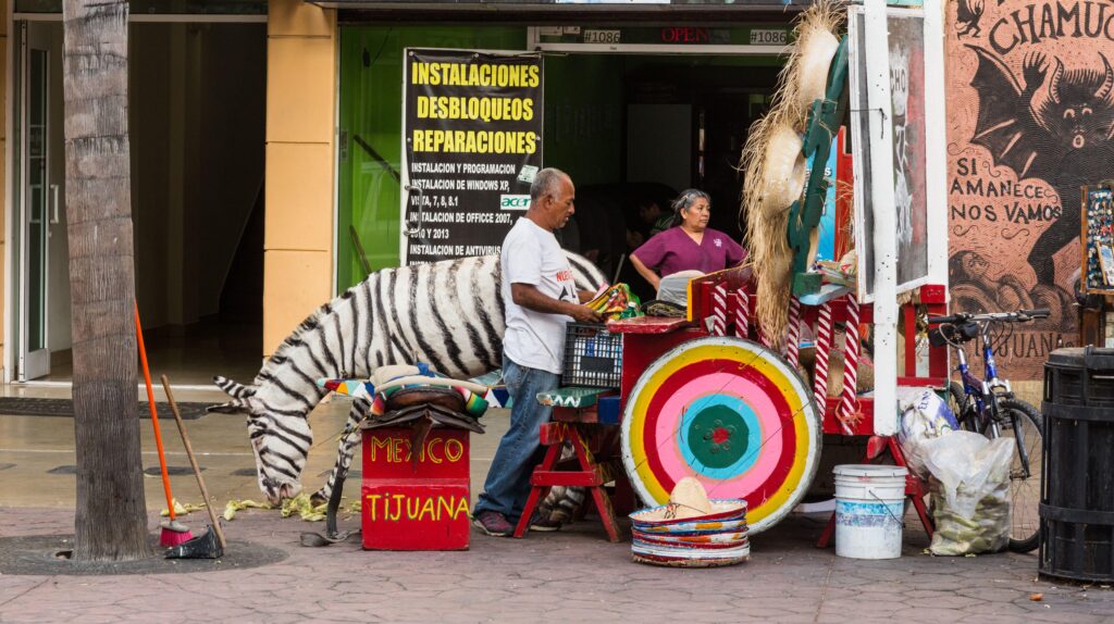 The History Of Tijuana's Zebrapainted Donkeys