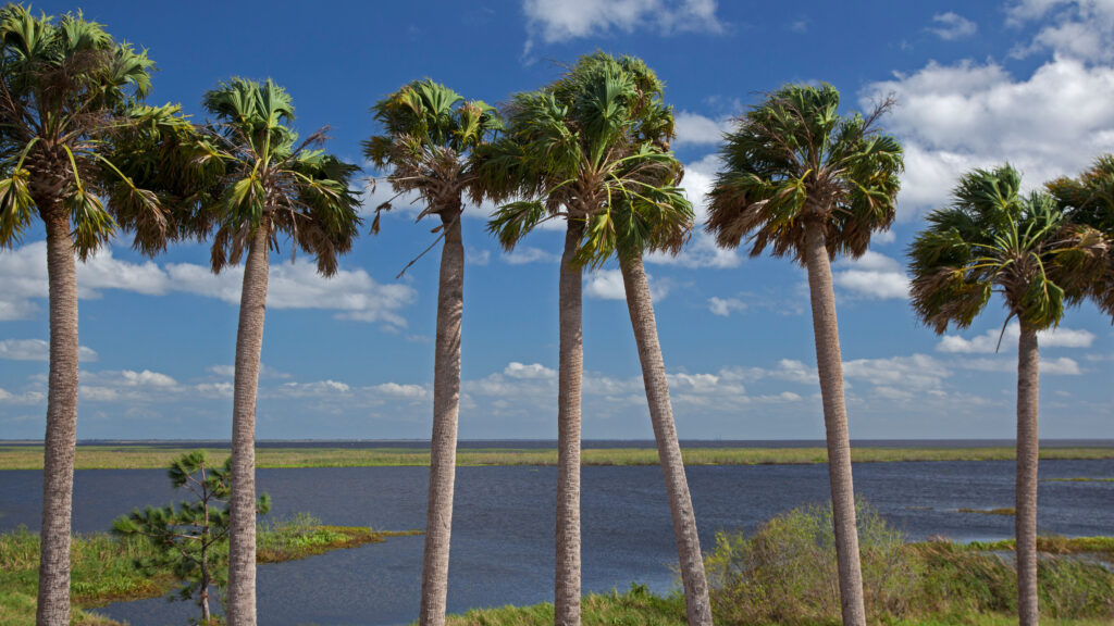 The Best Hotels and Motels in Okeechobee, Florida