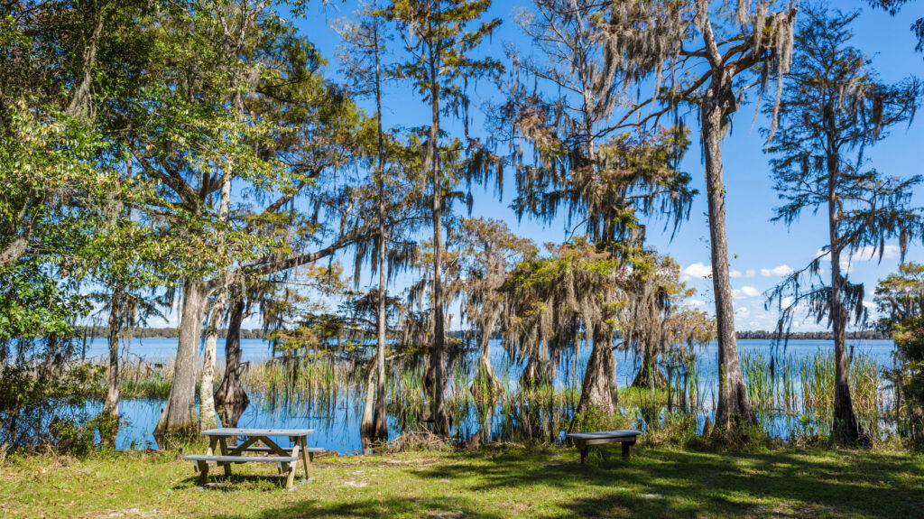 The Best Hiking Trails in Orlando