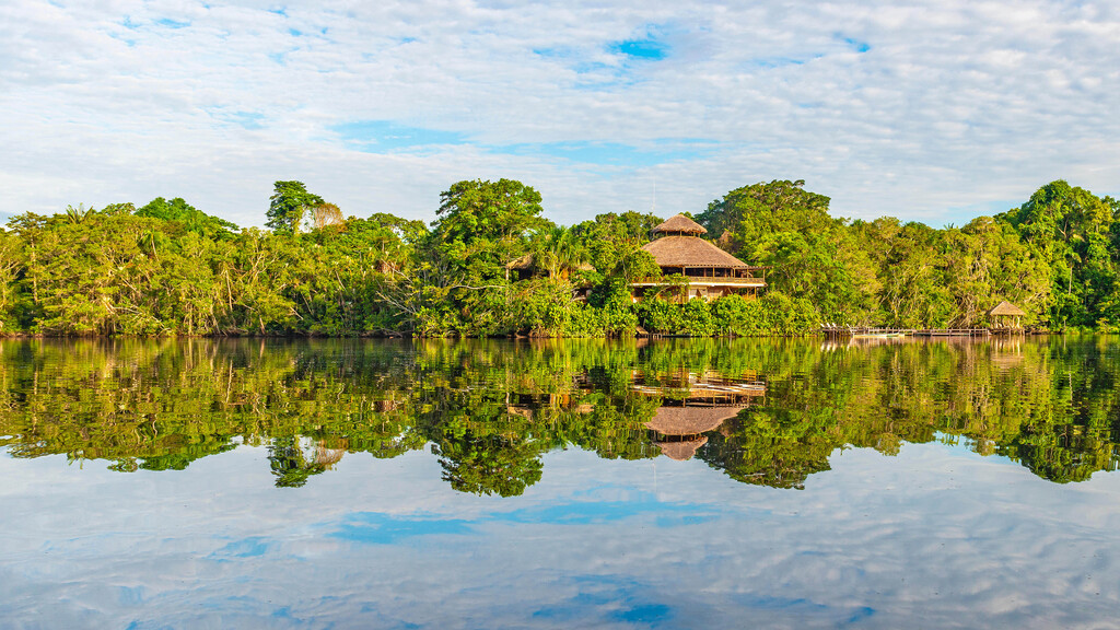 The Coolest Jungle Lodges to Stay in the Amazon Rainforest