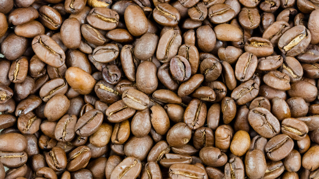 The Best Coffee Tours and Tastings in Costa Rica