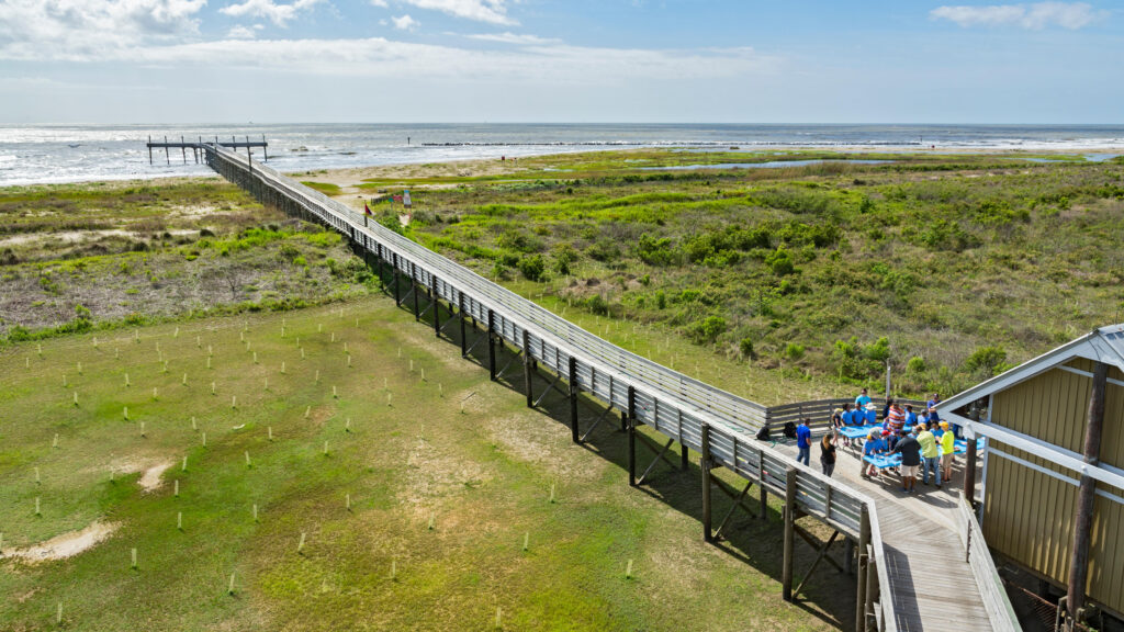 The Best Places to Go Camping in Louisiana, USA