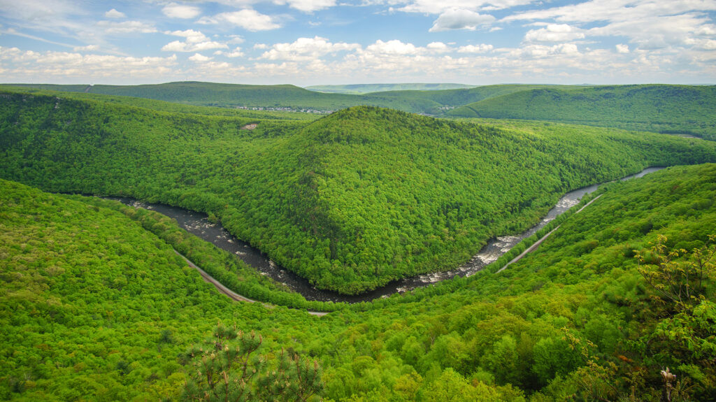 The Best PetFriendly Hotels to Book in the Pocono Mountains of