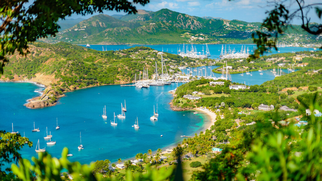 The Best Bars in Antigua and Barbuda