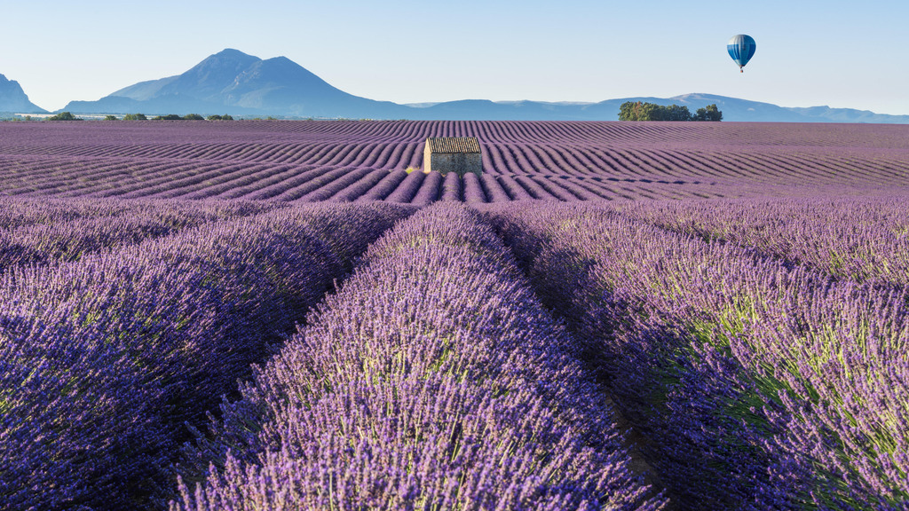 Reasons Why You Should Visit Provence at Least Once