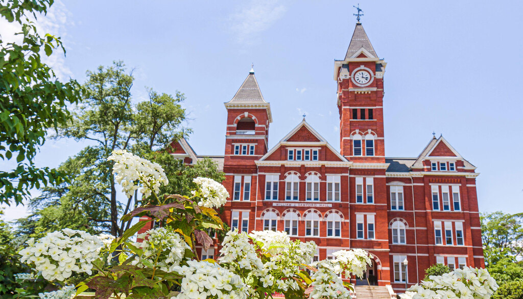 Where To Eat Out In Auburn, Alabama