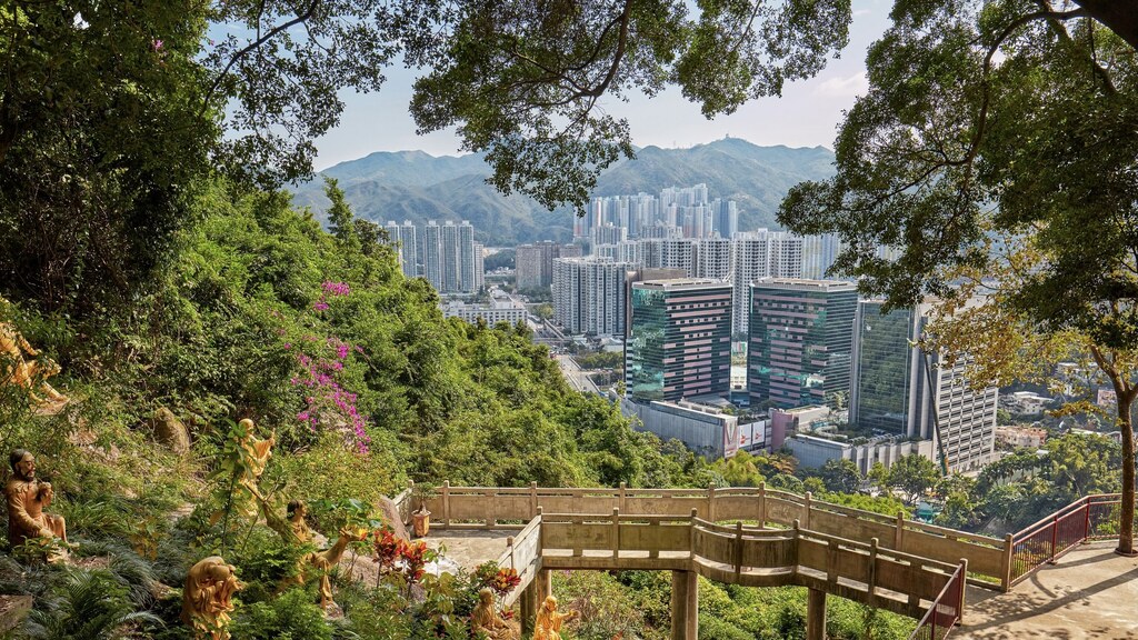 Things To Do And See In The New Territories, Hong Kong
