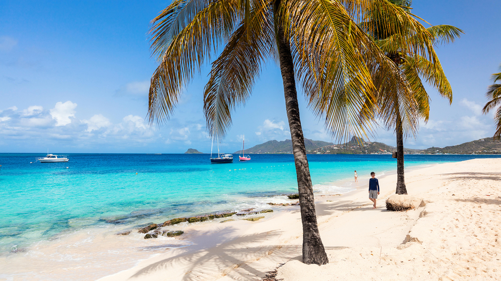 The Best Beaches in Saint Vincent and the Grenadines