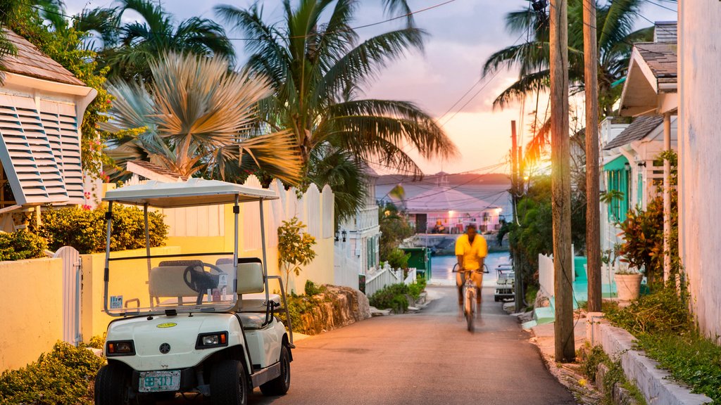 The Best Things to Do on Harbour Island, the Bahamas