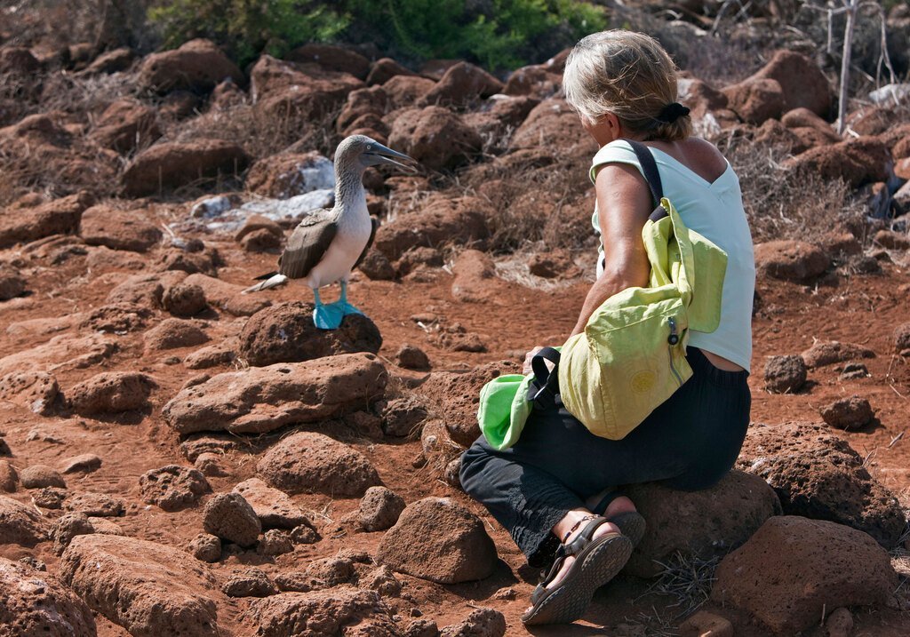 Top Trip Ideas for Senior Travellers